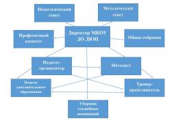 Схема структуры и органов управления МКОУ ДО ДЮЦ